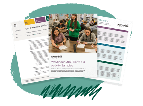 MTSS Tier 2 + 3 Collection