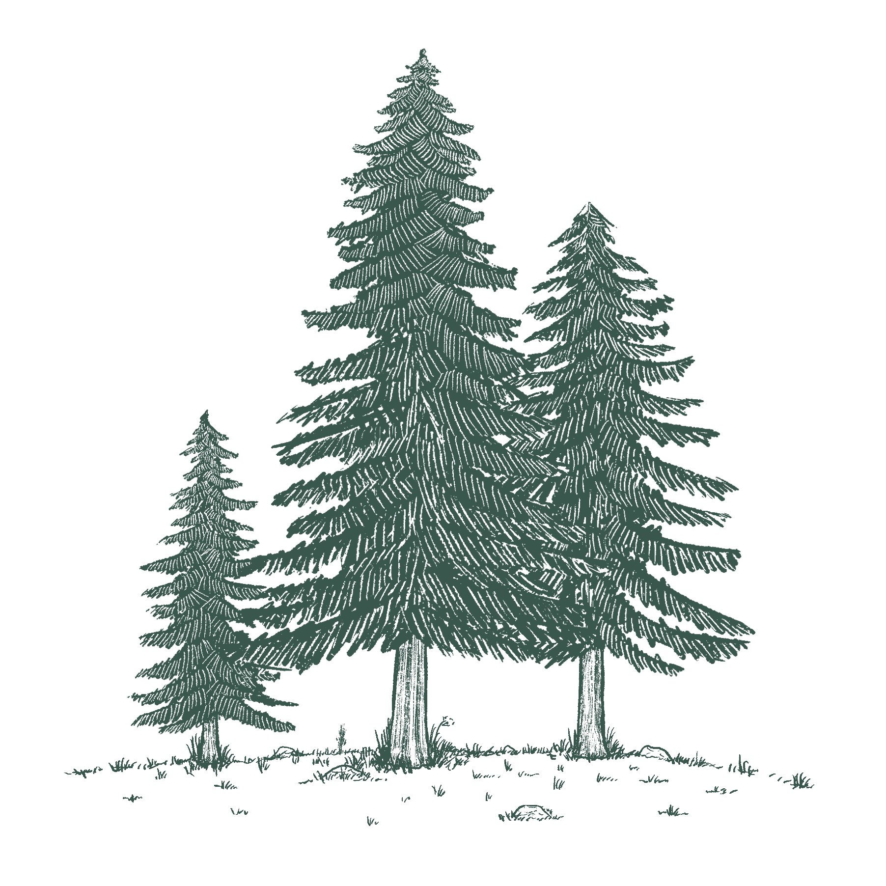 Wayfinder Pine Trees