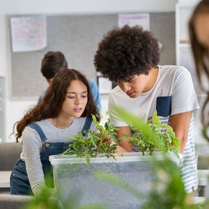 Two students working on science class projects