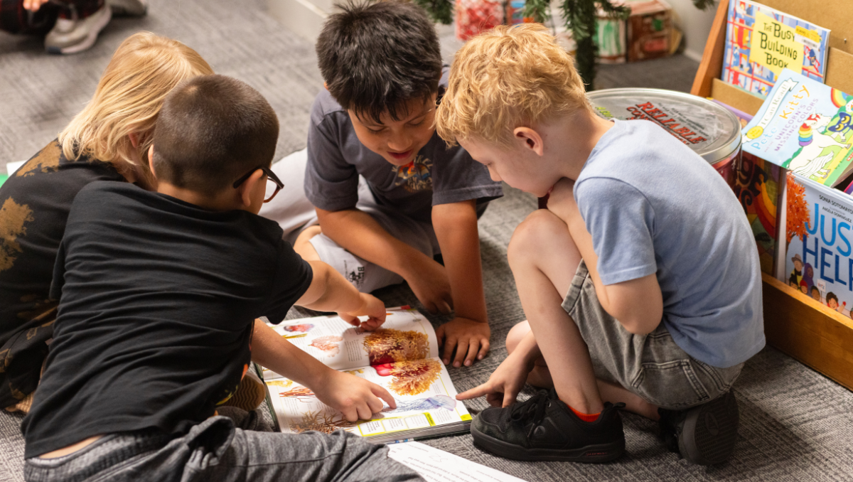 Explore Wayfinder's New Anti-Bullying Guide and get free K-12 Anti-Bullying Activities