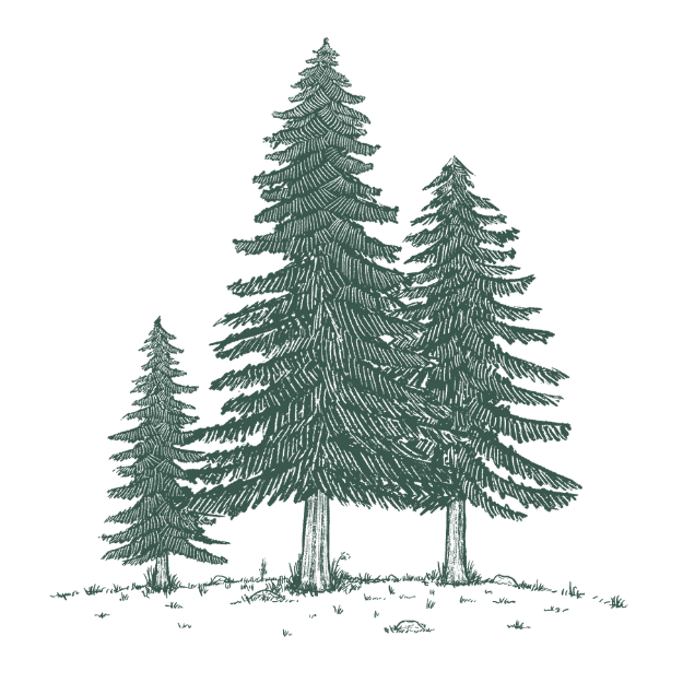 Wayfinder Pine Trees - Small Wayfinder Pine Trees - Small